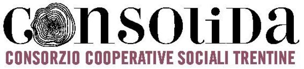 Immagine decorativa per il contenuto Consolida s.c.s.